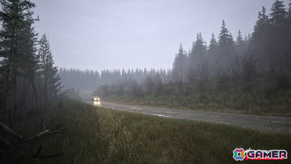 ラリーシミュレーション「Assetto Corsa Rally」早期アクセス版がSteamでリリース!10台のライセンス車両、4つの実在するラリーステージを収録の画像