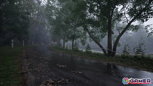 ラリーシミュレーション「Assetto Corsa Rally」早期アクセス版がSteamでリリース!10台のライセンス車両、4つの実在するラリーステージを収録の画像