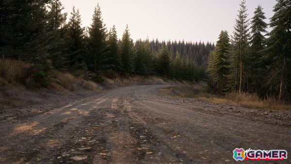 ラリーシミュレーション「Assetto Corsa Rally」早期アクセス版がSteamでリリース!10台のライセンス車両、4つの実在するラリーステージを収録の画像