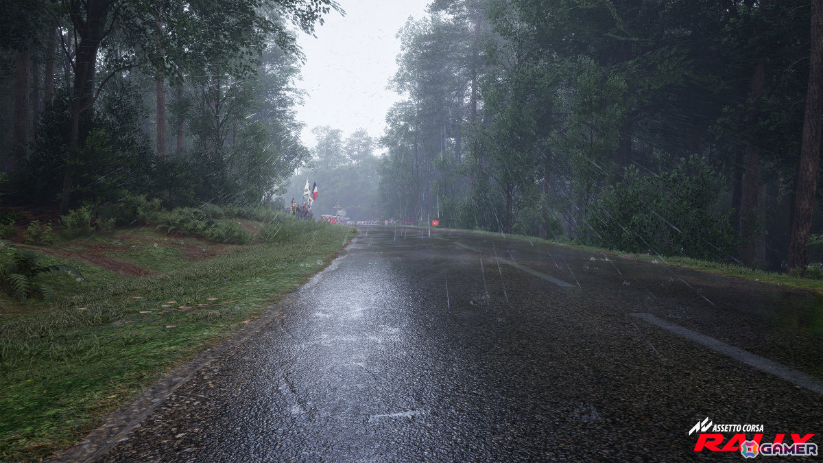 ラリーシミュレーション「Assetto Corsa Rally」早期アクセス版がSteamでリリース！10台のライセンス車両、4つの実在するラリーステージを収録の画像18