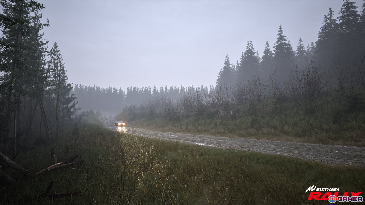 ラリーシミュレーション「Assetto Corsa Rally」早期アクセス版がSteamでリリース！10台のライセンス車両、4つの実在するラリーステージを収録の画像21