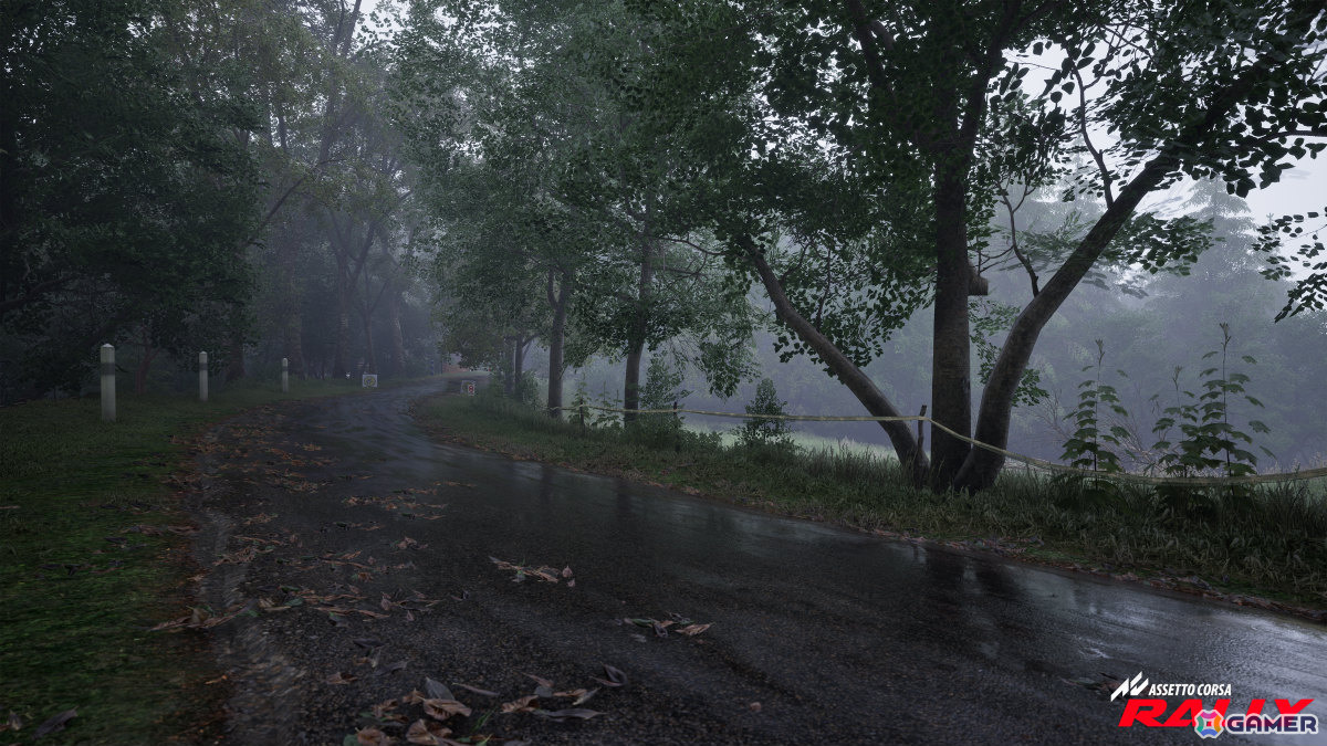 ラリーシミュレーション「Assetto Corsa Rally」早期アクセス版がSteamでリリース！10台のライセンス車両、4つの実在するラリーステージを収録の画像25