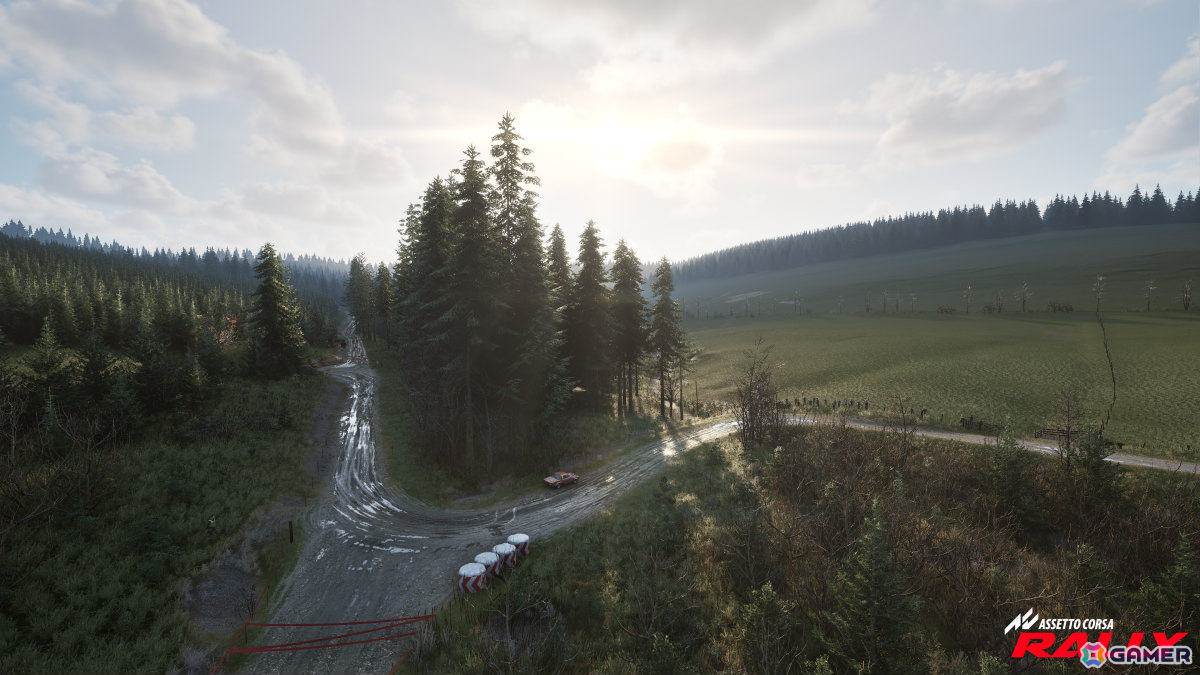 ラリーシミュレーション「Assetto Corsa Rally」早期アクセス版がSteamでリリース！10台のライセンス車両、4つの実在するラリーステージを収録の画像3