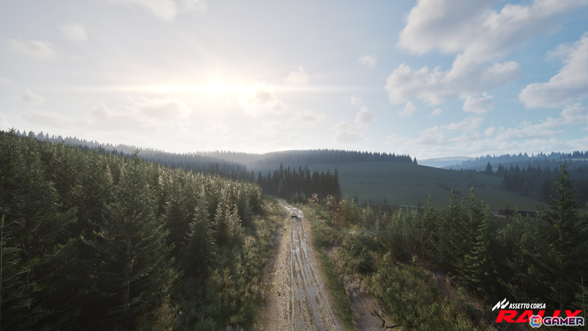 ラリーシミュレーション「Assetto Corsa Rally」早期アクセス版がSteamでリリース！10台のライセンス車両、4つの実在するラリーステージを収録の画像47
