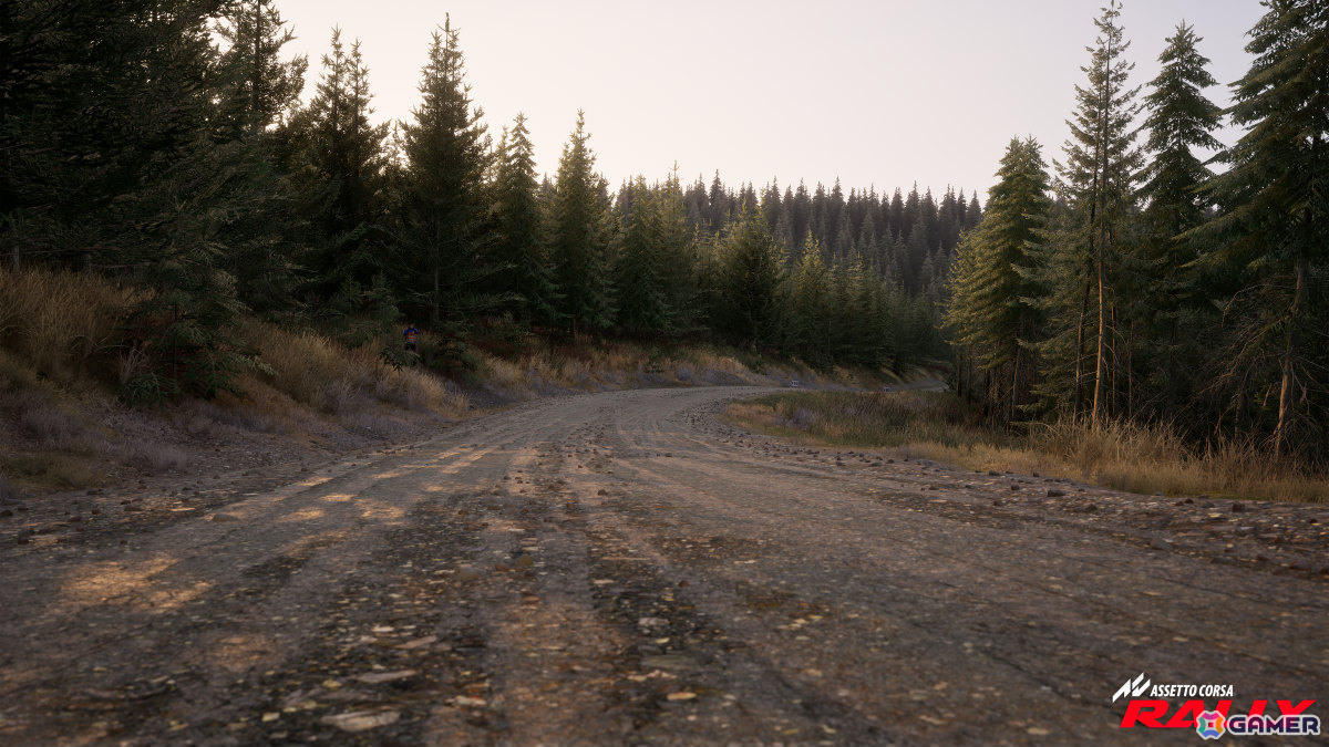 ラリーシミュレーション「Assetto Corsa Rally」早期アクセス版がSteamでリリース！10台のライセンス車両、4つの実在するラリーステージを収録の画像9