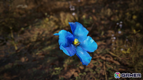 「S.T.A.L.K.E.R. 2: Heart of Chornobyl」不思議な現象アノマリーや貴重なアーティファクトを紹介するこれから始める「S.T.A.L.K.E.R. 2」第4回が公開！の画像