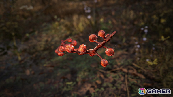 「S.T.A.L.K.E.R. 2: Heart of Chornobyl」不思議な現象アノマリーや貴重なアーティファクトを紹介するこれから始める「S.T.A.L.K.E.R. 2」第4回が公開！の画像