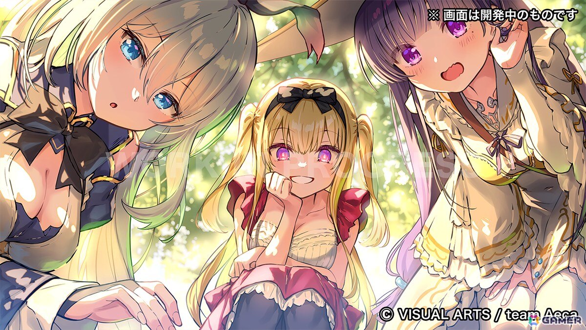 「偽りのアリス -Retold Tale-」のクラファンが残り1週間で800％を突破！新たに超特大タペストリーコースと企業向けレポートコースが追加の画像6