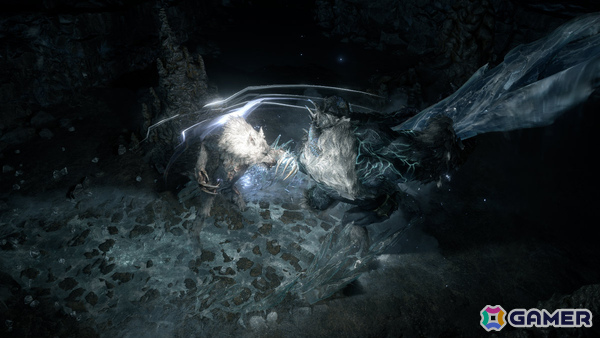「Path of Exile 2」アップデート「The Last of the Druids」は12月13日に配信！熊・狼・ワイバーンに変身できる新クラス「ドルイド」が参戦の画像