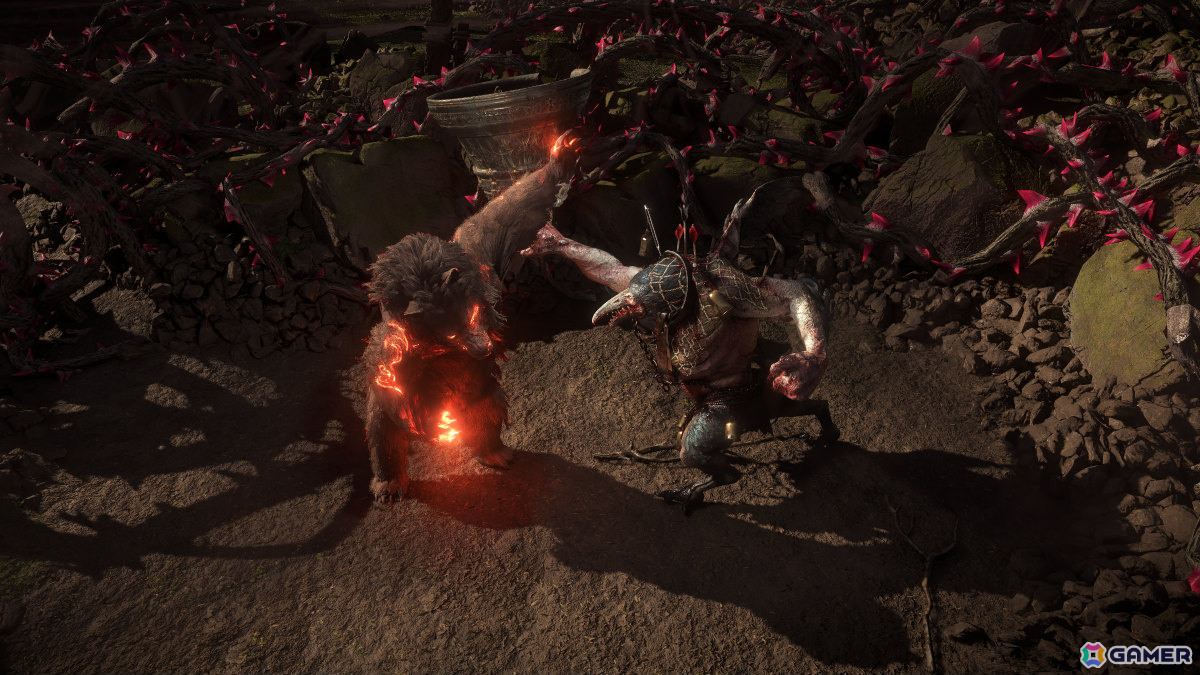 「Path of Exile 2」アップデート「The Last of the Druids」は12月13日に配信！熊・狼・ワイバーンに変身できる新クラス「ドルイド」が参戦の画像