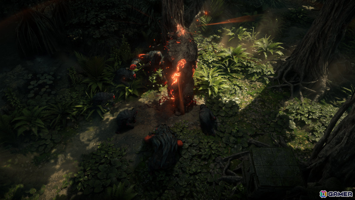 「Path of Exile 2」アップデート「The Last of the Druids」は12月13日に配信！熊・狼・ワイバーンに変身できる新クラス「ドルイド」が参戦の画像3