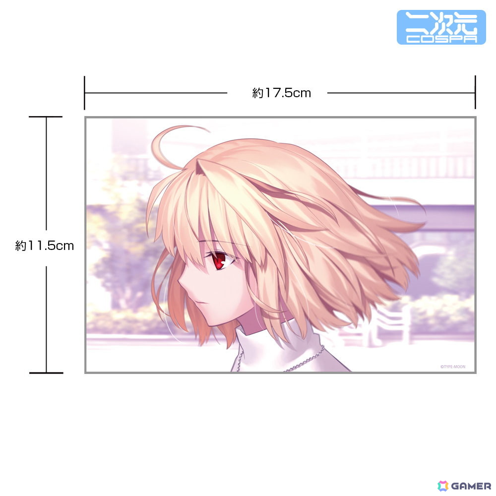 月姫 -A piece of blue glass moon-」アルクェイドの印象的な横顔を