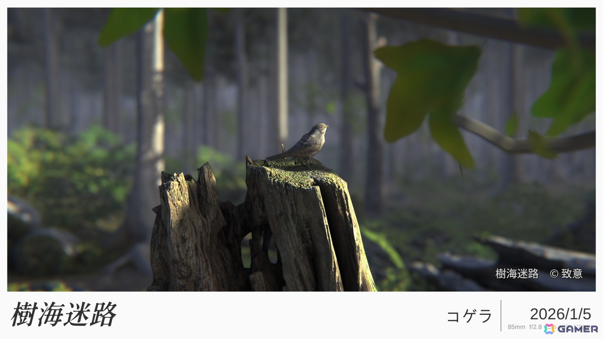 「神無迷路」の致意氏による新作「樹海迷路」は写実的なキャラ表現やフォトモードなど新要素満載のSFサスペンスノベルゲーム！の画像