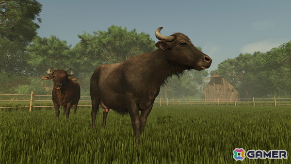 Switch 2用ソフト「Farming Simulator: Signature Edition」が発売！オリジナルレトルトカレーが当たるXキャンペーンも開催中の画像