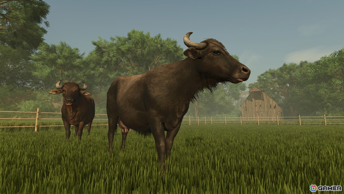 Switch 2用ソフト「Farming Simulator: Signature Edition」が発売！オリジナルレトルトカレーが当たるXキャンペーンも開催中の画像4