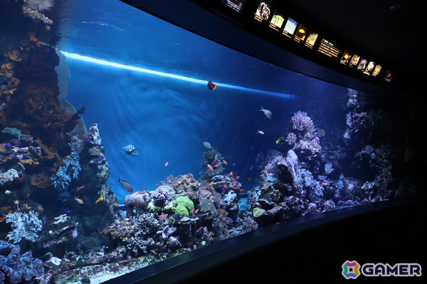 月歌とあいなと一緒に水族館を巡れる！「ヘブバン」✕サンシャイン水族館コラボに行ってきたさ～の画像