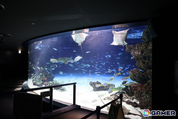 月歌とあいなと一緒に水族館を巡れる！「ヘブバン」✕サンシャイン水族館コラボに行ってきたさ～の画像