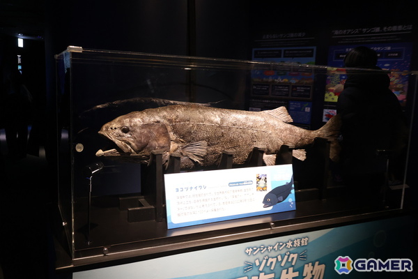月歌とあいなと一緒に水族館を巡れる！「ヘブバン」✕サンシャイン水族館コラボに行ってきたさ～の画像