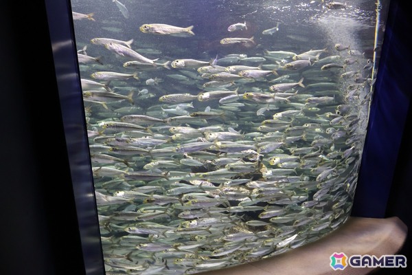 月歌とあいなと一緒に水族館を巡れる！「ヘブバン」✕サンシャイン水族館コラボに行ってきたさ～の画像