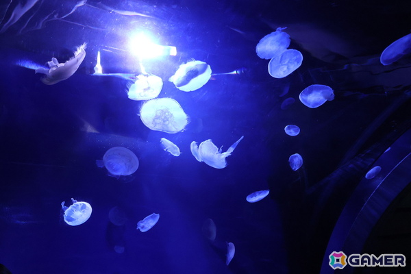 月歌とあいなと一緒に水族館を巡れる！「ヘブバン」✕サンシャイン水族館コラボに行ってきたさ～の画像