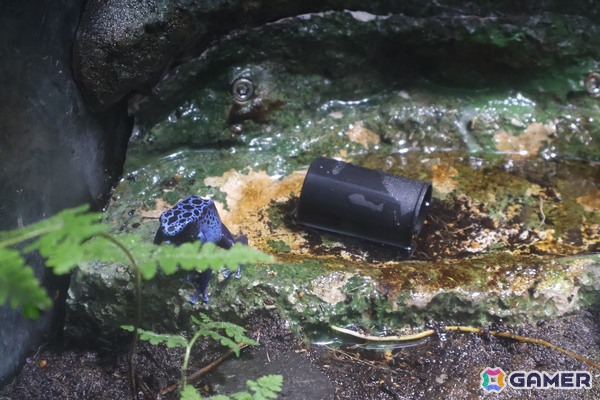 月歌とあいなと一緒に水族館を巡れる！「ヘブバン」✕サンシャイン水族館コラボに行ってきたさ～の画像