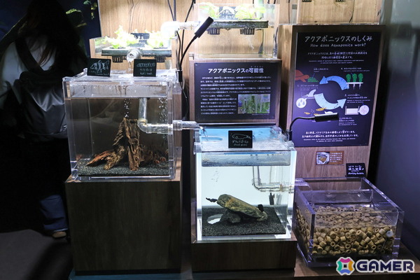 月歌とあいなと一緒に水族館を巡れる！「ヘブバン」✕サンシャイン水族館コラボに行ってきたさ～の画像