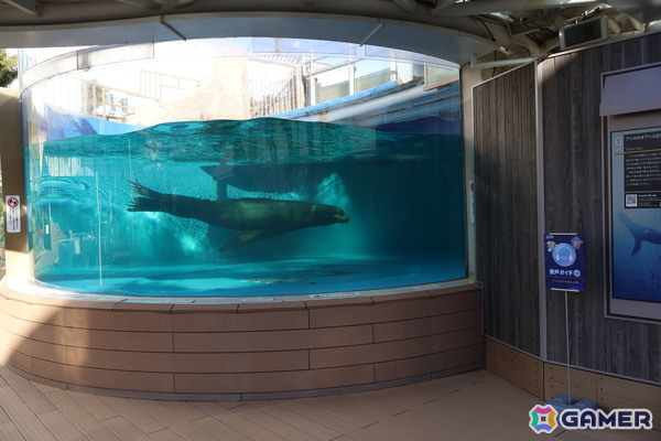 月歌とあいなと一緒に水族館を巡れる！「ヘブバン」✕サンシャイン水族館コラボに行ってきたさ～の画像