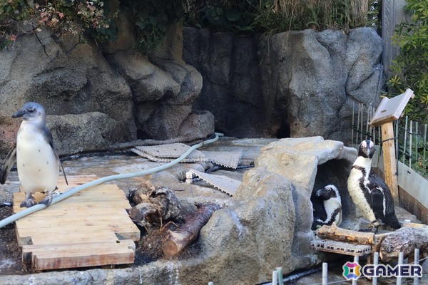 月歌とあいなと一緒に水族館を巡れる！「ヘブバン」✕サンシャイン水族館コラボに行ってきたさ～の画像