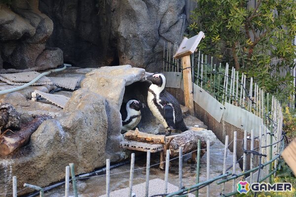 月歌とあいなと一緒に水族館を巡れる！「ヘブバン」✕サンシャイン水族館コラボに行ってきたさ～の画像