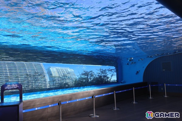 月歌とあいなと一緒に水族館を巡れる！「ヘブバン」✕サンシャイン水族館コラボに行ってきたさ～の画像37