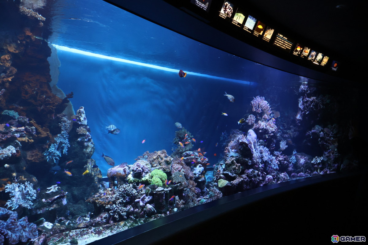 月歌とあいなと一緒に水族館を巡れる！「ヘブバン」✕サンシャイン水族館コラボに行ってきたさ～の画像23