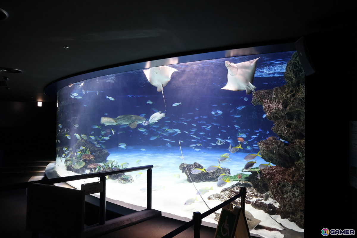 月歌とあいなと一緒に水族館を巡れる！「ヘブバン」✕サンシャイン水族館コラボに行ってきたさ～の画像24