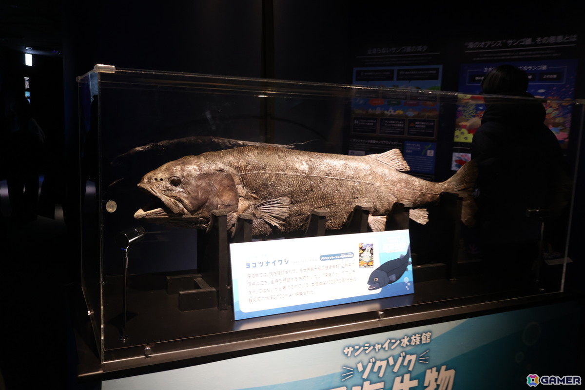月歌とあいなと一緒に水族館を巡れる！「ヘブバン」✕サンシャイン水族館コラボに行ってきたさ～の画像25