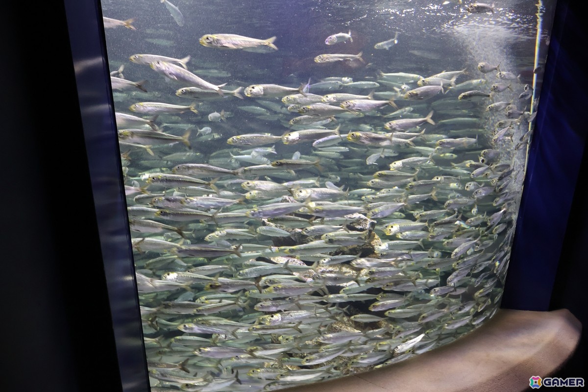月歌とあいなと一緒に水族館を巡れる！「ヘブバン」✕サンシャイン水族館コラボに行ってきたさ～の画像27