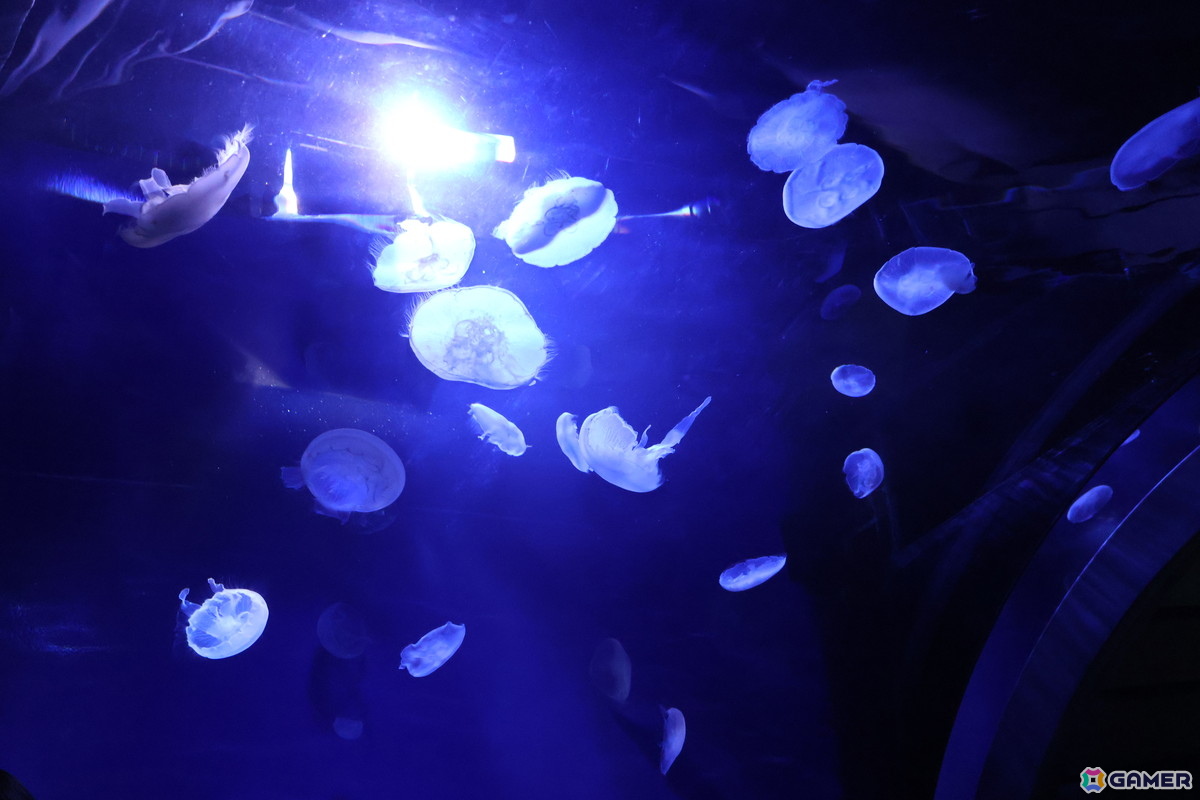 月歌とあいなと一緒に水族館を巡れる！「ヘブバン」✕サンシャイン水族館コラボに行ってきたさ～の画像28