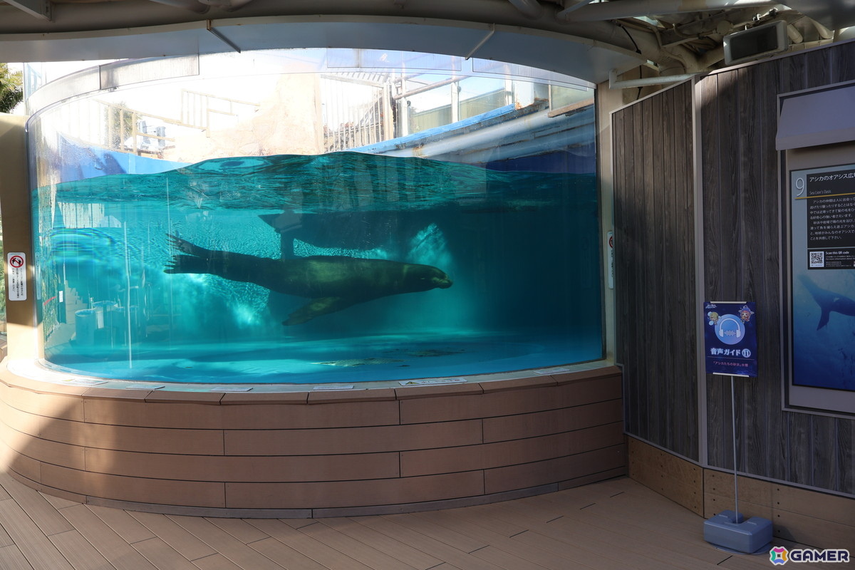 月歌とあいなと一緒に水族館を巡れる！「ヘブバン」✕サンシャイン水族館コラボに行ってきたさ～の画像33