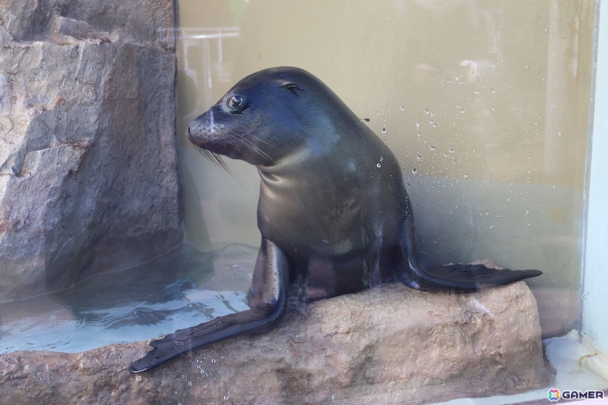 月歌とあいなと一緒に水族館を巡れる！「ヘブバン」✕サンシャイン水族館コラボに行ってきたさ～の画像34