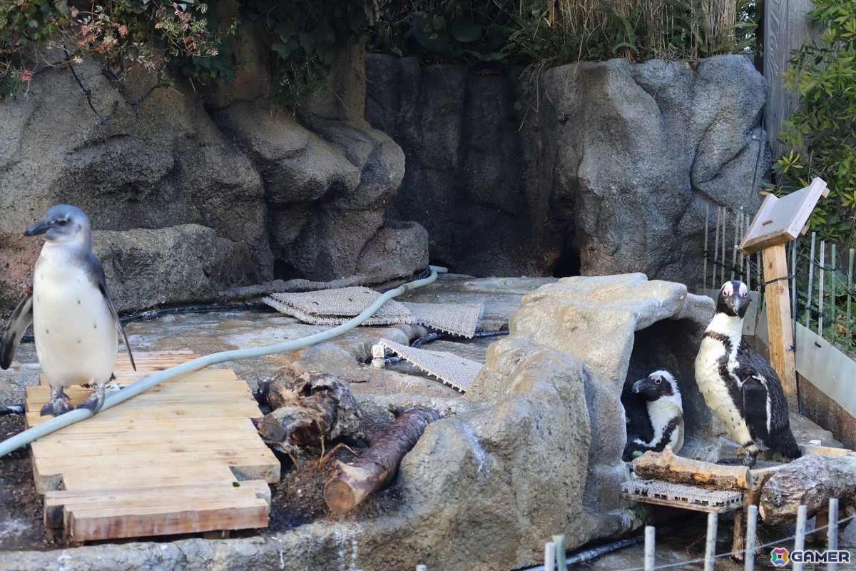 月歌とあいなと一緒に水族館を巡れる！「ヘブバン」✕サンシャイン水族館コラボに行ってきたさ～の画像35