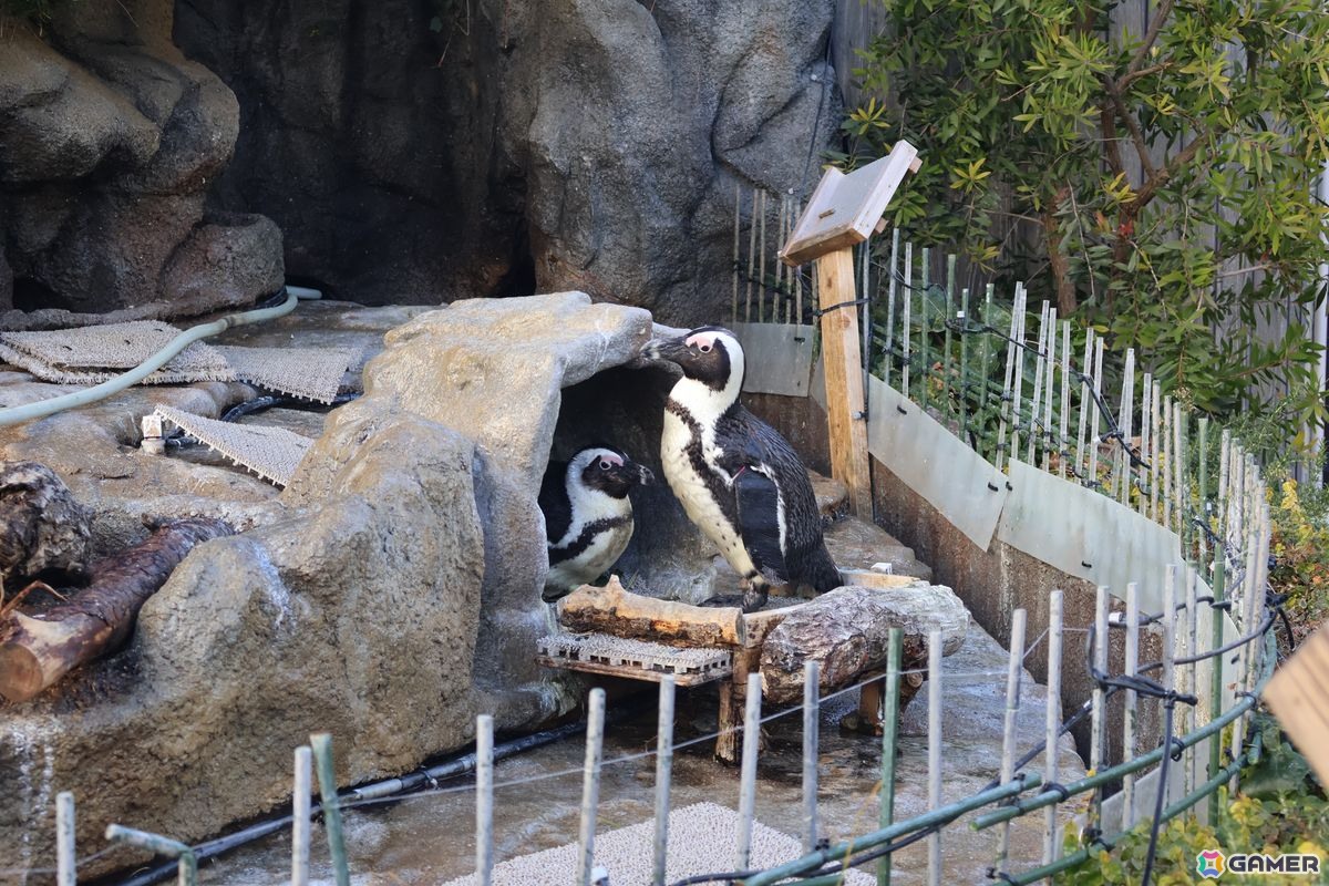 月歌とあいなと一緒に水族館を巡れる！「ヘブバン」✕サンシャイン水族館コラボに行ってきたさ～の画像36