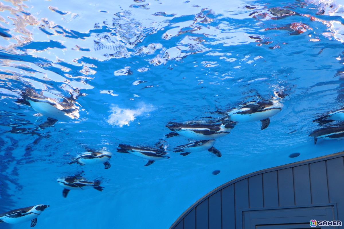 月歌とあいなと一緒に水族館を巡れる！「ヘブバン」✕サンシャイン水族館コラボに行ってきたさ～の画像