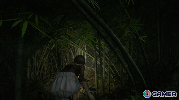 「零 ～紅い蝶～ REMAKE」体験版が3月5日に配信！「SILENT HILL f」との相互コラボも発表、Switch 2ダウンロード版の予約受付も開始の画像9