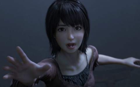 「零 ～紅い蝶～ REMAKE」体験版が3月5日に配信！「SILENT HILL f」との相互コラボも発表、Switch 2ダウンロード版の予約受付も開始