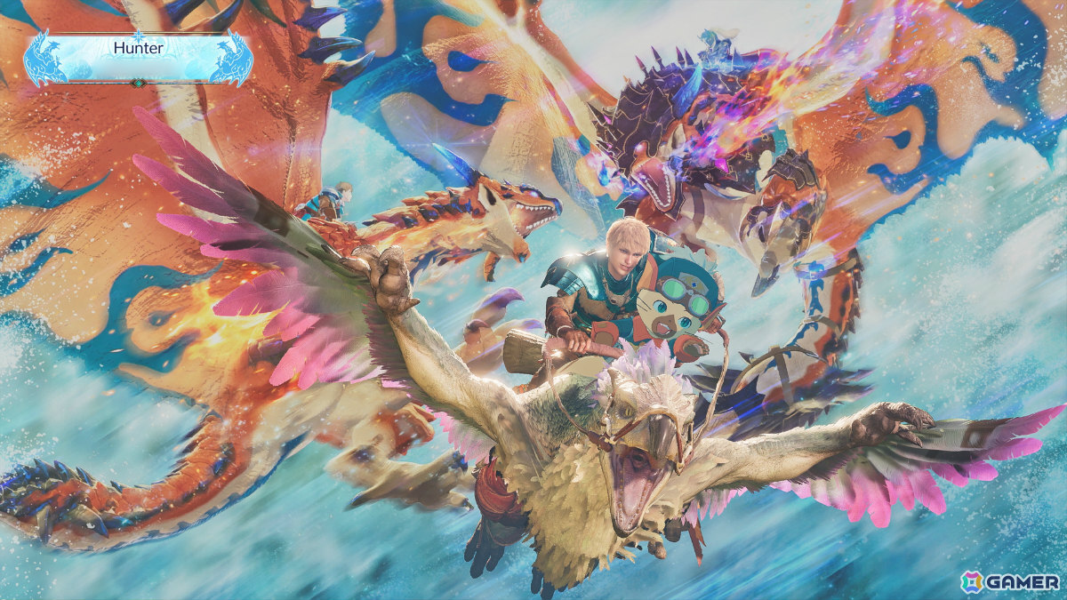 ハンタープロフィールの背景、ポーズ、ネームプレート