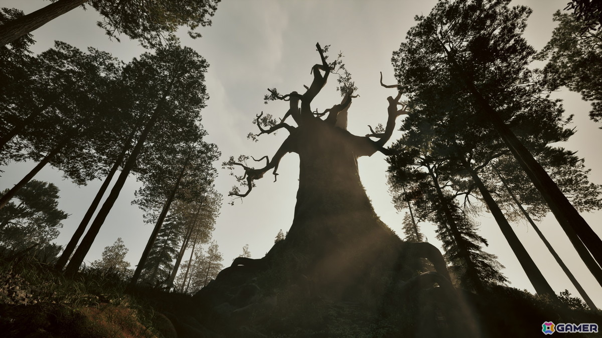 サバイバルアクションADV「Among the Trolls」の体験版が配信！フィンランド神話をベースにした過酷な環境でのサバイバルを体験可能の画像6