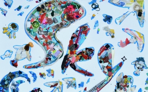 「Sky 星を紡ぐ子どもたち」ファン約200名が片瀬東浜海岸周辺のビーチクリーンに参加！集まったマイクロプラスチックごみでプラアート作品を制作