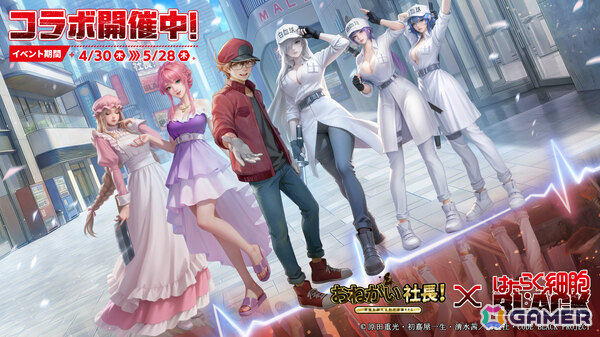 「おねがい社長！」×アニメ「はたらく細胞BLACK」のコラボが開催！白血球1196（CV：日笠陽子）、赤血球AA2153（CV：榎木淳弥）が限定人材にの画像1