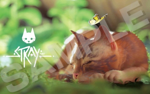 ハピネットがBitSummit PUNCHに出展！新作やSwitch 2版「Stray」など計5タイトルの試遊が可能、ノベルティ配布企画も