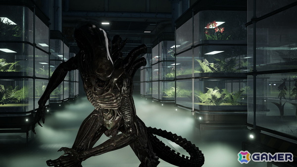 エイリアンを舞台にした協力型三人称サバイバルシューターの続編「Aliens: Fireteam Elite 2」が今夏PS5/Xbox Series X/S/PCで発売！の画像