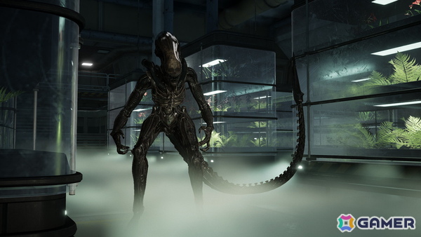 エイリアンを舞台にした協力型三人称サバイバルシューターの続編「Aliens: Fireteam Elite 2」が今夏PS5/Xbox Series X/S/PCで発売！の画像