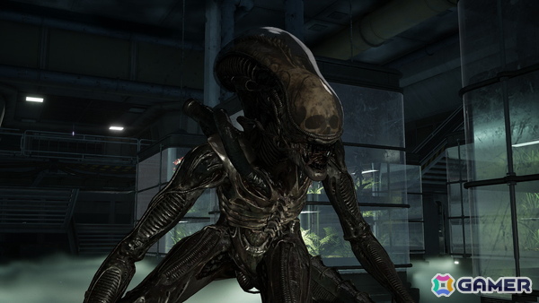 エイリアンを舞台にした協力型三人称サバイバルシューターの続編「Aliens: Fireteam Elite 2」が今夏PS5/Xbox Series X/S/PCで発売！の画像